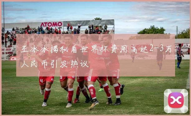 王冰冰揭秘看世界杯费用高达2-3万人民币引发热议